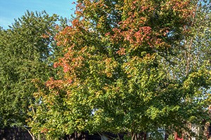 Apartments in Hendersonville, TN